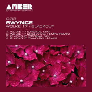 Listen to Blackout song with lyrics from Swynce