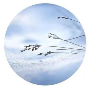 Listen to 雪人 (cover: 范晓萱) (完整版) song with lyrics from 雪落静听