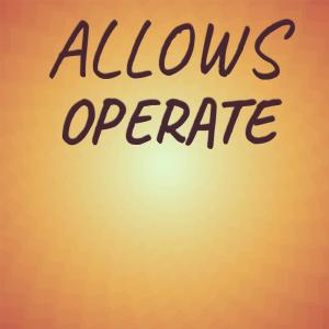 Various Artists的專輯Allows Operate