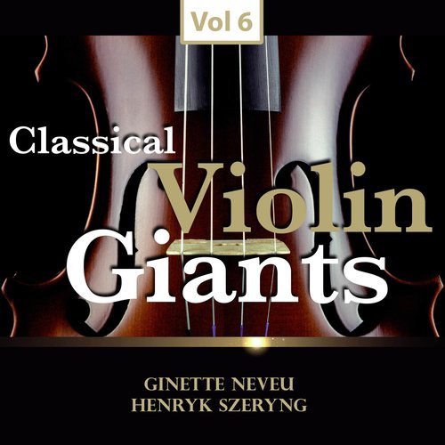 Concerto for Violin and Orchestra, in D Major, Op. 77: II Adagio