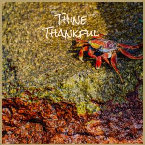 Album Thine Thankful oleh Various