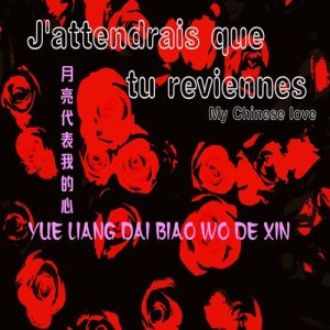 收聽Laurent Michelotto的Yue Liang Dai Biao Wo De Xin 月亮代表我的心 (Version Chant)歌詞歌曲