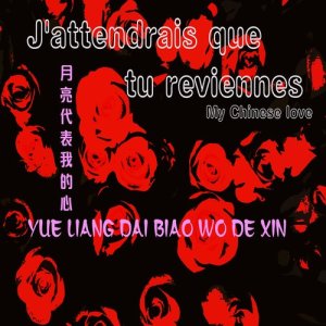 收聽Laurent Michelotto的Yue Liang Dai Biao Wo De Xin 月亮代表我的心 (Version Chant And Accordeon)歌詞歌曲