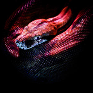 收聽Atte的Break The Rules歌詞歌曲