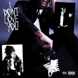 Album I Don't Love You (Explicit) from 