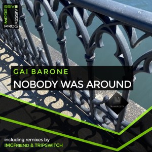 Listen to Nobody Was Around (IMGFriend Remix) song with lyrics from Gai Barone