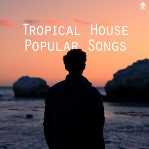 Album Tropical House Popular Songs from Various