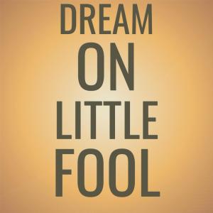 收听Debbie Woods的Dream On Little Fool歌词歌曲