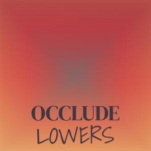 Album Occlude Lowers oleh Various