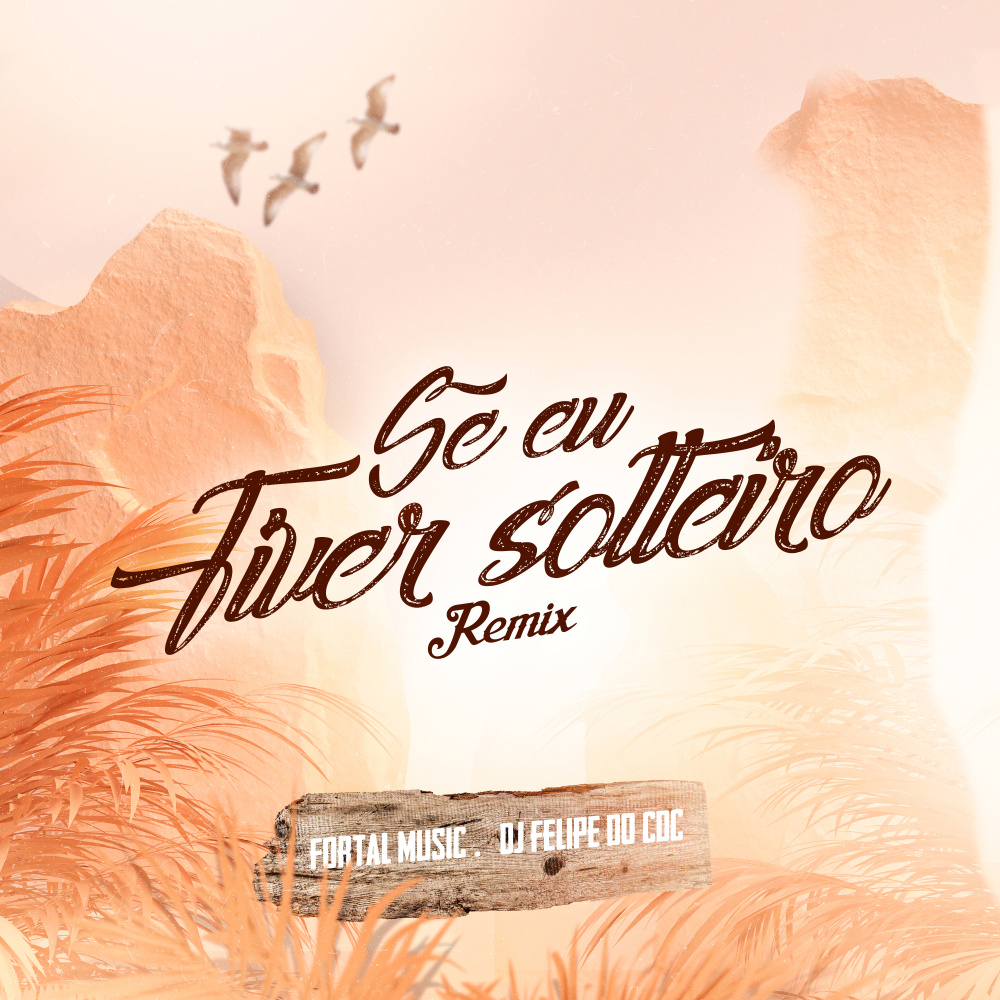 Se Eu Tiver Solteiro (Remix)