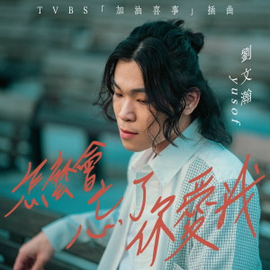 收聽劉文瀚的怎麼會忘了你愛我歌詞歌曲