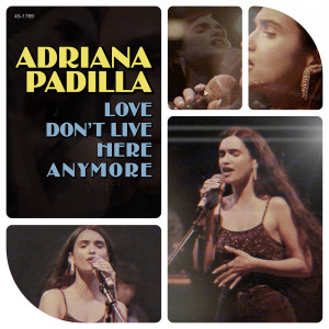 Album Love Don't Live Here Anymore (DooWop Acapella) from Adriana Padilla
