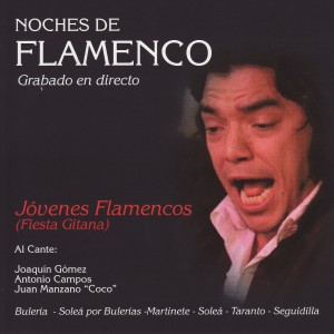 收聽Juan Manzano的Aires de Alcala歌詞歌曲