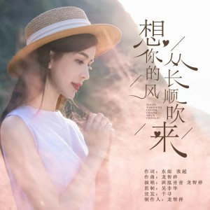 Listen to 想你的风从长顺吹来 (伴奏) song with lyrics from 班泓青青