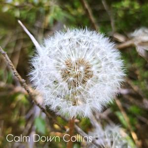 ดาวน์โหลดและฟังเพลง Words and Images พร้อมเนื้อเพลงจาก Calm Down Collins