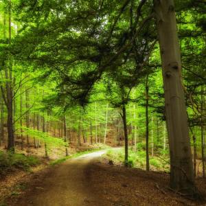 Listen to Learn More song with lyrics from Spa Relaxation
