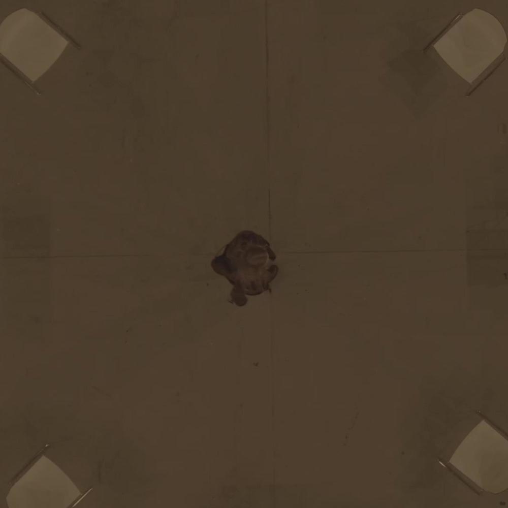 Suite/Ending