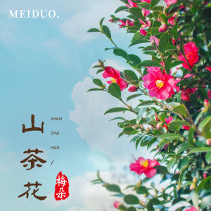 收听梅朵的山茶花 (伴奏)歌词歌曲
