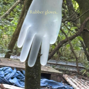 ดาวน์โหลดและฟังเพลง Rubber gloves... พร้อมเนื้อเพลงจาก Florence
