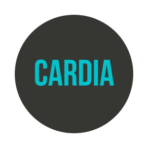 Listen to Pop Art Lego song with lyrics from Cardia