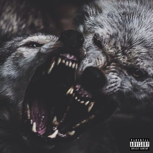 Listen to Celebrate Us song with lyrics from Topic