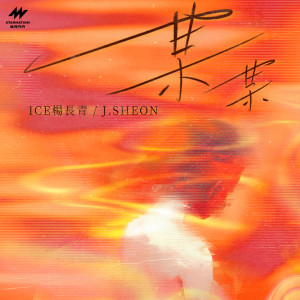 Listen to 某某 song with lyrics from ICE杨长青