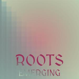อัลบัม Roots Emerging ศิลปิน Various