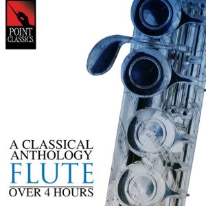 ดาวน์โหลดและฟังเพลง Flute Concerto in D Minor, Wq. 22, H. 426: I. Allegro (其他) พร้อมเนื้อเพลงจาก Slovak Chamber Orchestra