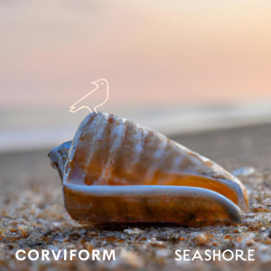 Dengarkan lagu Seashore nyanyian Corviform dengan lirik