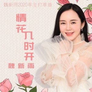 收聽魏新雨的情花幾時開 (DJ沈念版)歌詞歌曲