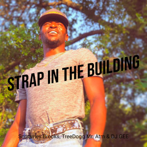 Listen to Strap in the Building (Explicit) song with lyrics from Scrawney Brooks
