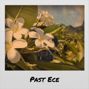 Album Past Ece oleh Various