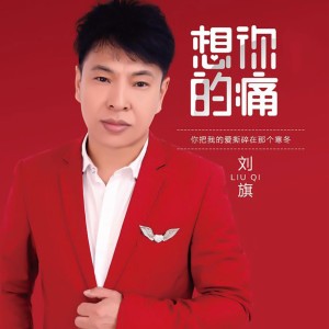 收聽劉旗的我有病你有藥嗎 (DJ版)歌詞歌曲