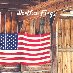 Deep Walls的專輯Weather Flags