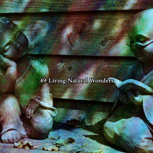 Album 49 Living Natural Wonders oleh Entspannungsmusik