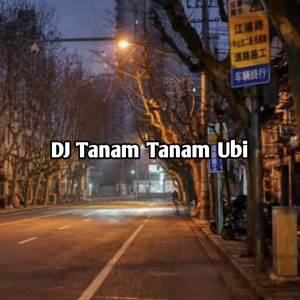 DJ TANAM TANAM UBI dari DJ Haning