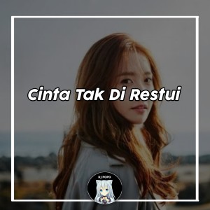 Listen to Cinta Tak Direstui song with lyrics from Dj Popo