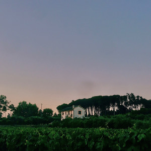 Listen to Countryside song with lyrics from Meditation