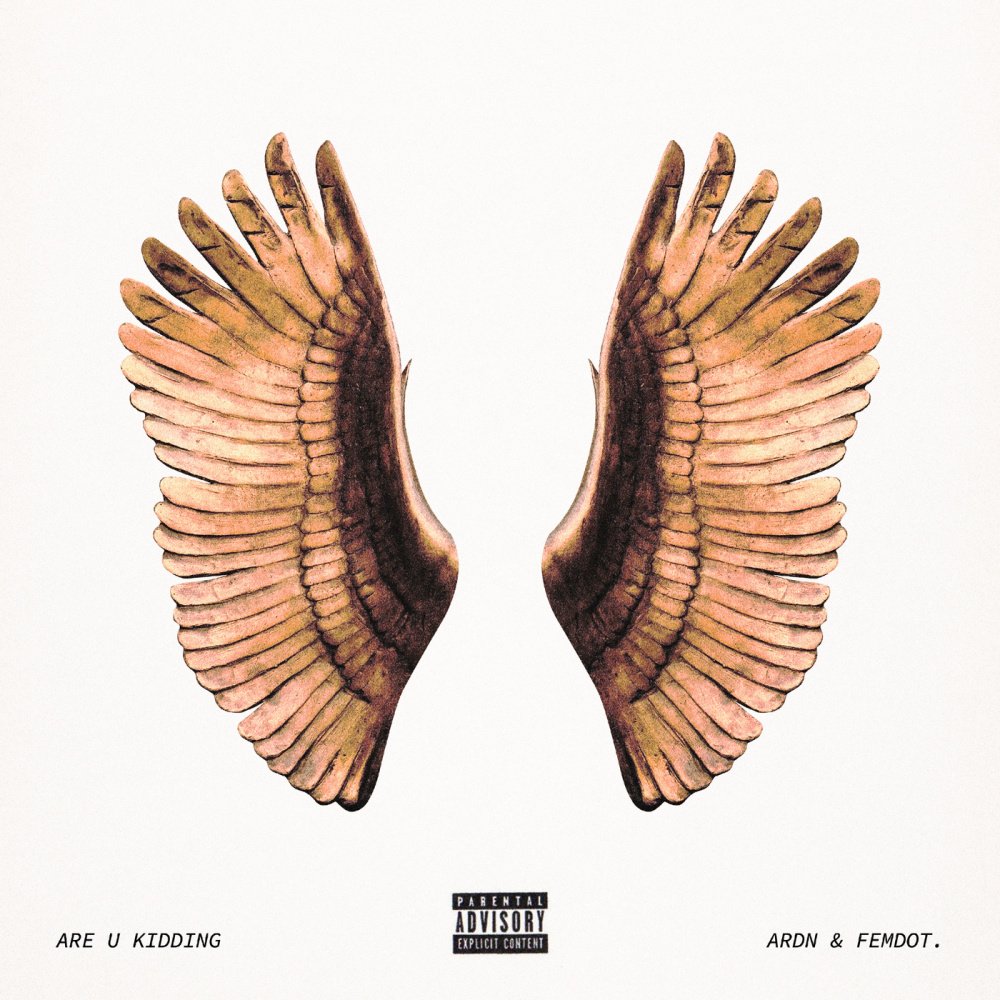 ARE U KIDDING (Explicit)