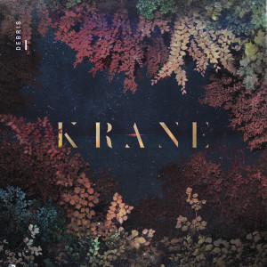 ดาวน์โหลดและฟังเพลง Shallow พร้อมเนื้อเพลงจาก KRANE