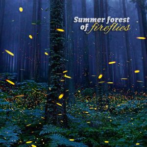 Wave- Vex Team的专辑Summer Night Of Fireflies