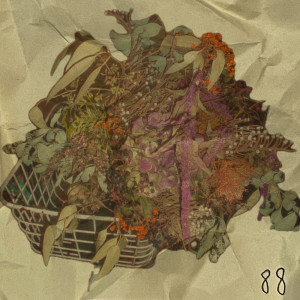 Listen to 88 song with lyrics from Akira Something