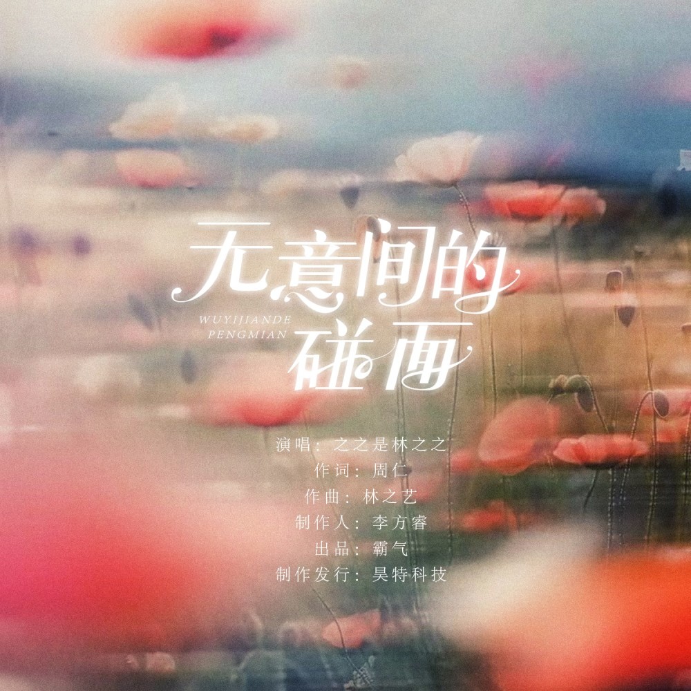 无意间的碰面 (完整版)