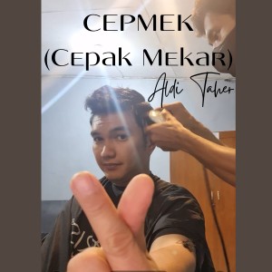 Aldi Taher的專輯Cepmek (Cepak Mekar)