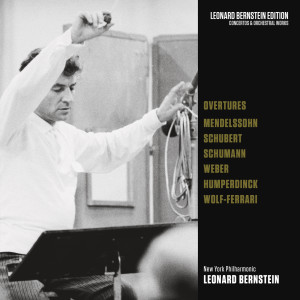 收聽Leonard Bernstein的Des Teufels Lustschloss, D.84: Overture歌詞歌曲