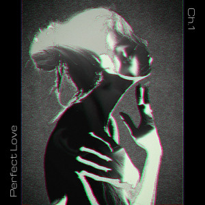 Album Prefect Love 1 from 金俊善