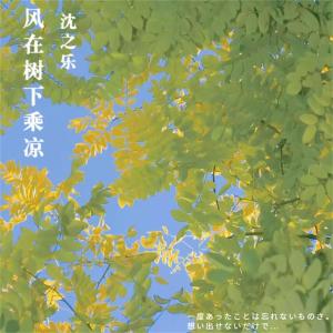 收听沈之乐的风在树下乘凉歌词歌曲