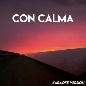 Boricua Boys的专辑Con Calma (Karaoke Version)