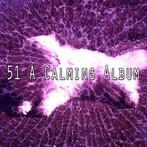 收听Relaxing Music Therapy的Restful Massage歌词歌曲