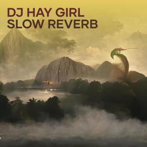 ดาวน์โหลดและฟังเพลง Dj Hay Girl Slow Reverb พร้อมเนื้อเพลงจาก Kenzy Fvnky